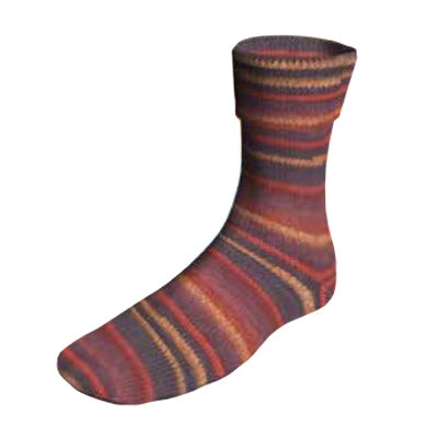 Lang Sock - Super Soxx 8 ply