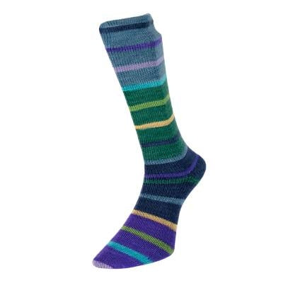 Evolution stripe sock