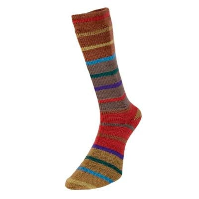 Evolution stripe sock