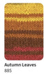 West Yorkshire Spinners - Signature 4ply Winwick Mum