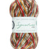 West Yorkshire Spinners - Signature 4ply - Christmas